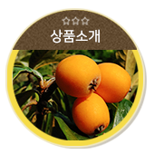 상품소개