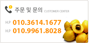 주문 및 문의